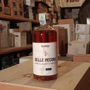 Genziana delle Pecore