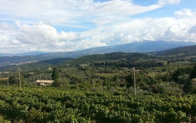 Protetto: Montalcino stage Vinarius