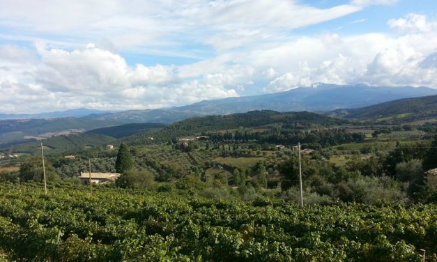 Protetto: Montalcino stage Vinarius