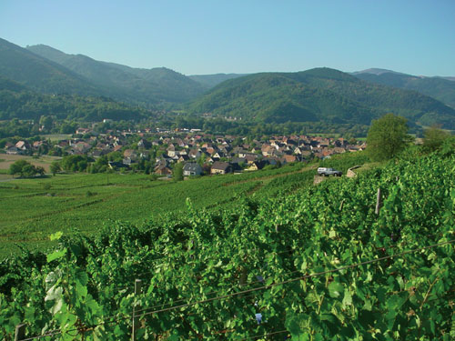 Domaine Schoenheitz