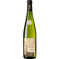 Muscat Alsace Aoc