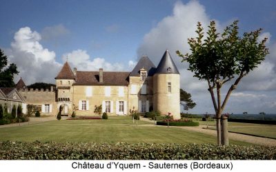 Château D’yquem 2019, La Narrazione Moderna