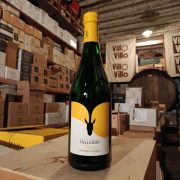 Vino bianco frizzante Testardo