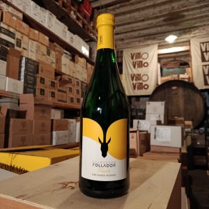 Vino bianco frizzante Testardo