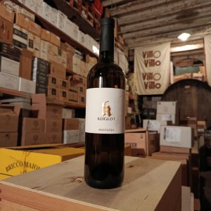 Malvazija Valle di Vipava